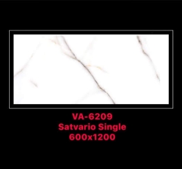 GẠCH ỐP LÁT ẤN ĐỘ 600x1200mm-VA-6209