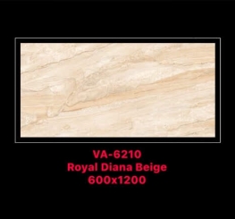 GẠCH ỐP LÁT ẤN ĐỘ 600x1200mm-VA-6210