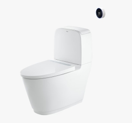 BÀN CẦU XẢ CẢM ỨNG ACT-832VN    