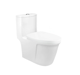 DK-C2419