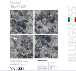 GẠCH ỐP LÁT ẤN ĐỘ 1200x1200mm-CARPE DIEM NAVY (VA-1221)