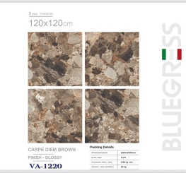 GẠCH ỐP LÁT ẤN ĐỘ 1200x1200mm-CARPE DIEM BROWN (VA-1220)