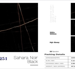 GẠCH ỐP LÁT ẤN ĐỘ 1200x1200mm-SHARA NOIR BLACK (VA-1251)