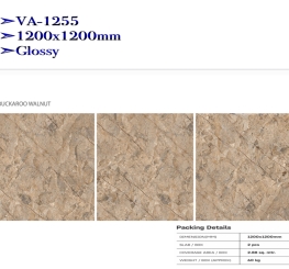 GẠCH ỐP LÁT ẤN ĐỘ 1200x1200mm-VA-1255
