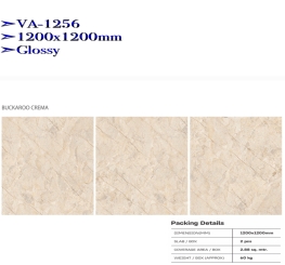 GẠCH ỐP LÁT ẤN ĐỘ CAO CẤP 1200x1200mm-VA-1256