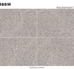 GẠCH ỐP LÁT ẤN ĐỘ 600x1200mm-VA-BF62.169M