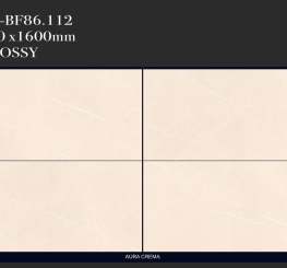 GẠCH ỐP LÁT ẤN ĐỘ 800x1600mm-VA-BF86.112