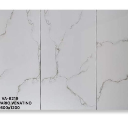 GẠCH ỐP LÁT ẤN ĐỘ 600x1200mm-VA-6219