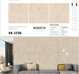 GẠCH ỐP LÁT ẤN ĐỘ 1200x1200mm-VA-1256