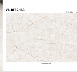 GẠCH ỐP LÁT ẤN ĐỘ 600x1200mm-VA-BF62.153
