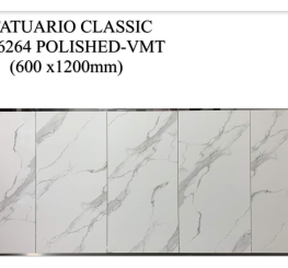 GẠCH ỐP LÁT ẤN ĐỘ 600x1200mm-VA-6264
