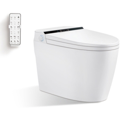 BỒN CẦU THÔNG MINH N-8815