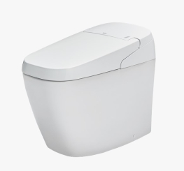 BÀN CẦU THÔNG MINH AC-G216VN/BW1