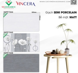 GẠCH VA-CERAMIC- BỀ MẶT BÓNG  300X600