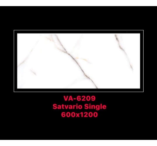 GẠCH ỐP LÁT ẤN ĐỘ 600x1200mm-VA-6209