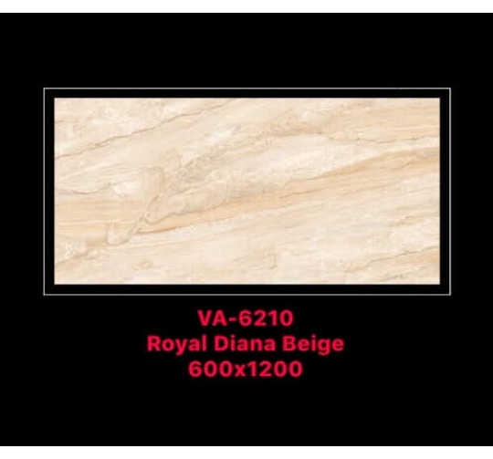 GẠCH ỐP LÁT ẤN ĐỘ 600x1200mm-VA-6210