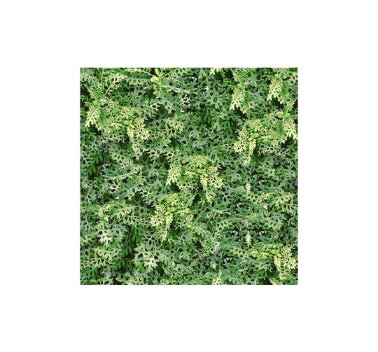 BST GREENERY