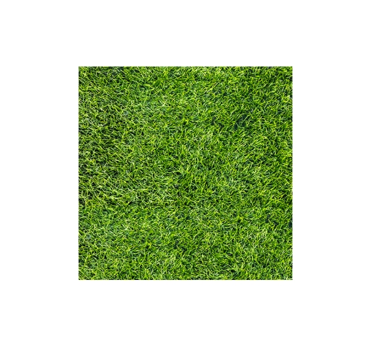 BST GREENERY