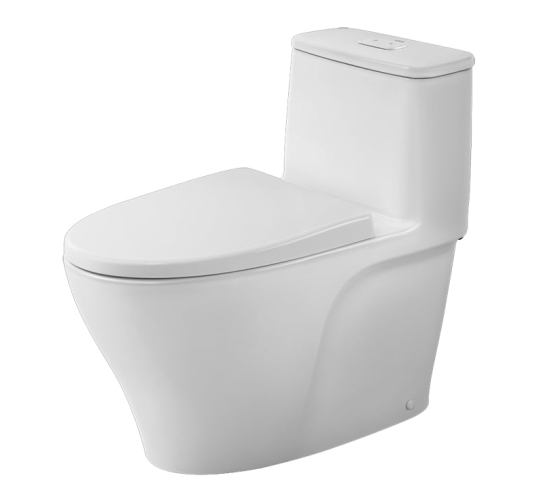 BỒN CẦU MỘT KHỐI AC-989VN