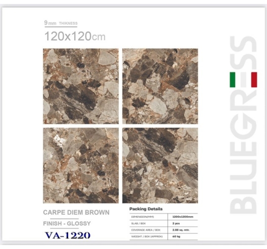 GẠCH ỐP LÁT ẤN ĐỘ 1200x1200mm-CARPE DIEM BROWN (VA-1220)