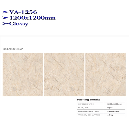 GẠCH ỐP LÁT ẤN ĐỘ CAO CẤP 1200x1200mm-VA-1256