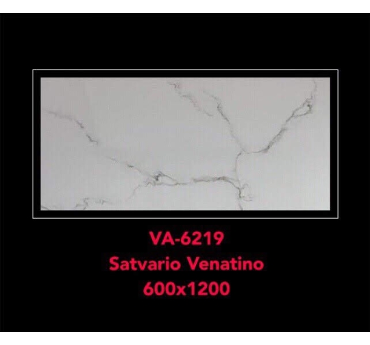 GẠCH ỐP LÁT ẤN ĐỘ SATVARIO 600x1200mm-VA-6219