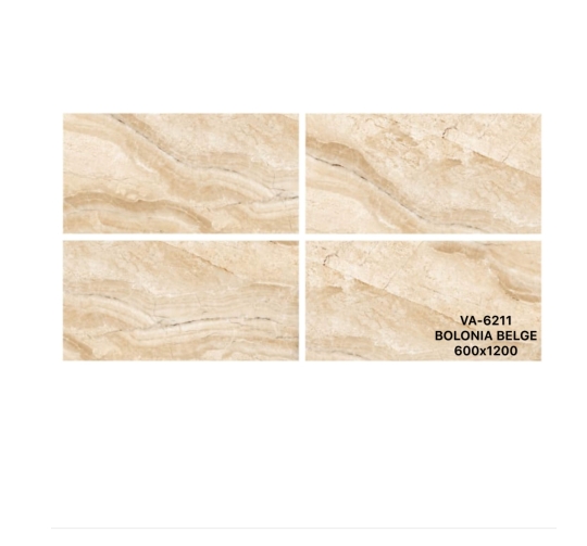 GẠCH ỐP LÁT ẤN ĐỘ 600x1200mm-VA-6211