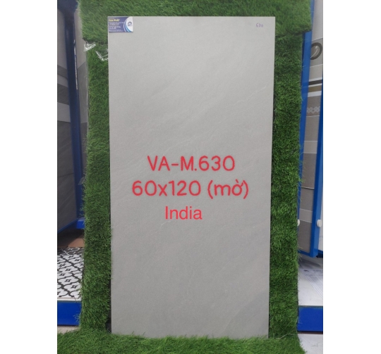 GẠCH ỐP LÁT ẤN ĐỘ 60x120 VA-M.630